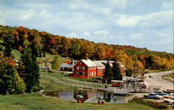 Fall At Famous Bromley Mt. Postcard