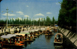 Xochimilco Postcard