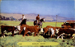 Burley Postcard