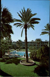 Los Olivos Lodge Hotel, 202 E. McDowell Postcard