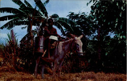 Water Boy, Michigan St Postcard