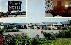 Rosser's Motel, U. S. 41 Postcard