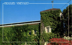 Beaulieu Vineyard Postcard
