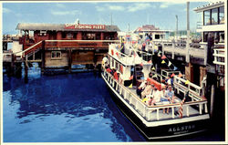 Scenic Bay Cruise Postcard