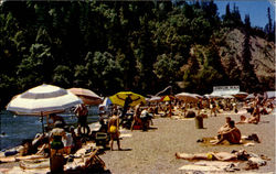 Johnson's Beach Postcard