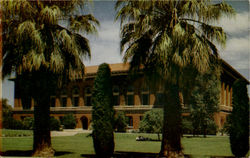 University Of Arizona Library Building Postcard