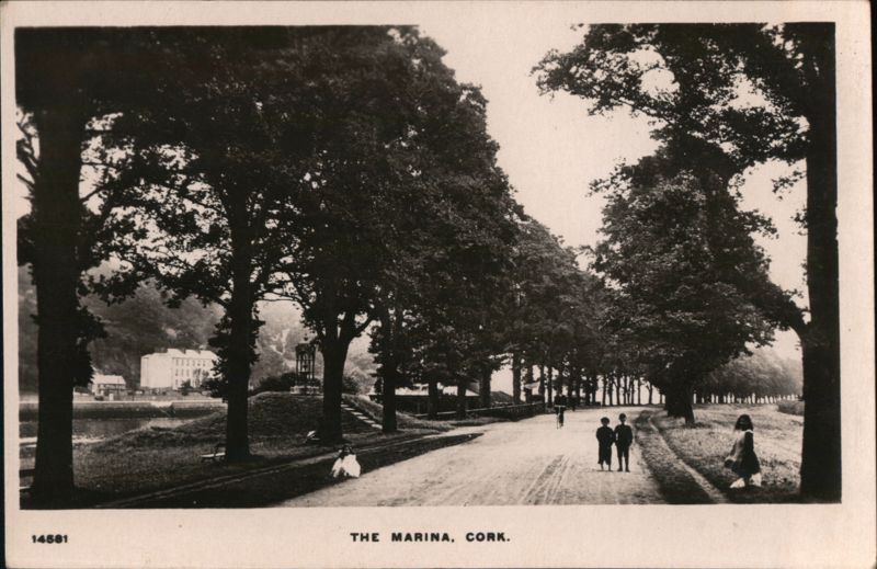 Tree-lined Avenue, The Marina, Cork Ireland