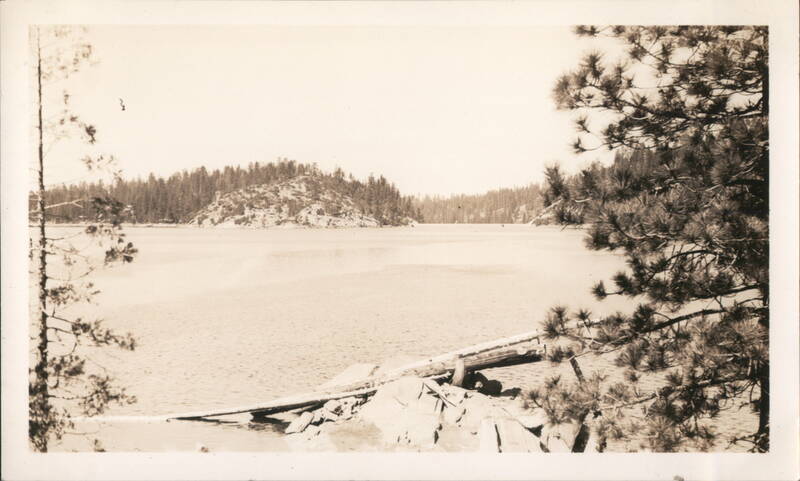 Forest Lake with Tree-Covered Island and Shoreline Logs