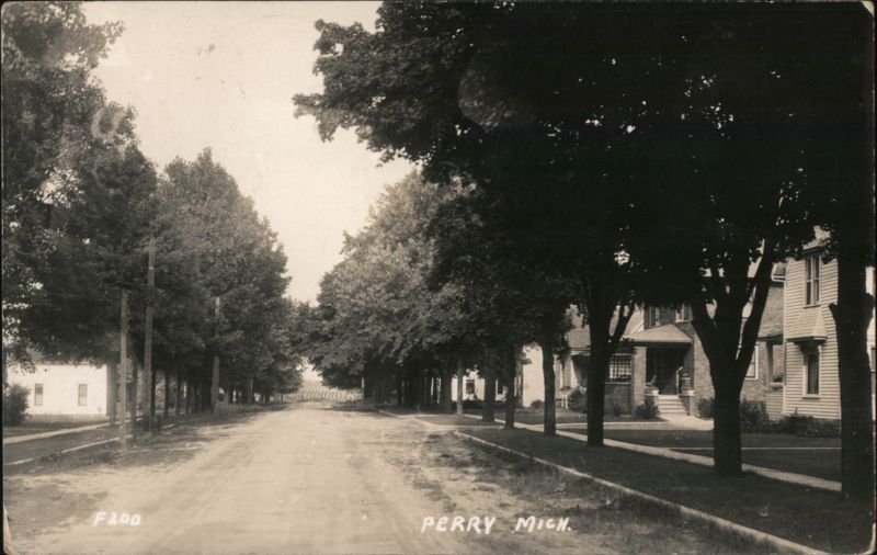Tree-lined Street with Houses, Perry, MI Michigan