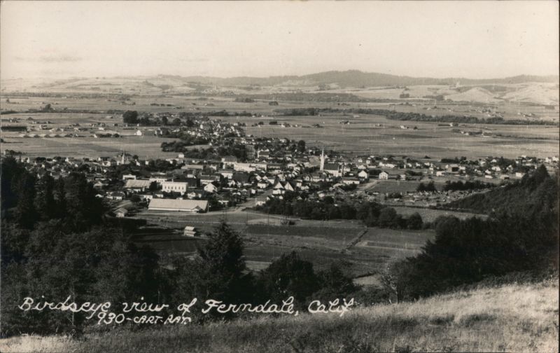 Birdseye view of Ferndale, California