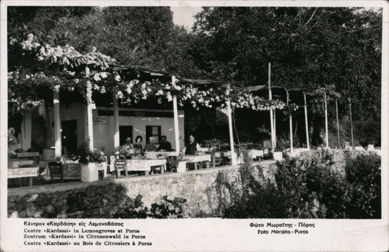 Kardassi Centre in Lemongroves, Poros Greece Foto Moraitis