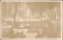 Richardson Grove State Park Redwood Log Benches Postcard