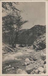 Lytle Creek with Flowing Water and Trees Postcard