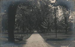 Miami Walk, Oxford OH Postcard