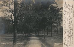 Tree-lined Path to the University, Oxford, Ohio Postcard