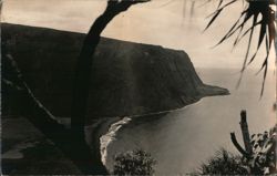 Wapio Valley Honokaa Hamakua Coast Postcard