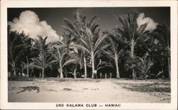 USO Kalama Club Hawaii with Palm Trees Postcard