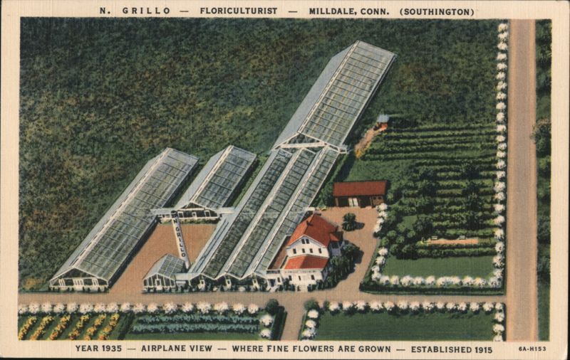 N. Grillo - Floriculturist Milldale Connecticut
