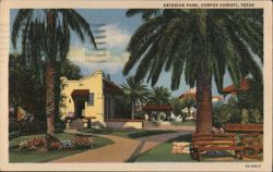 Artesian Park with Palm Trees - Corpus Christi, TX Postcard