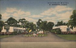 Hoffman Motel with Palm Trees - St. Petersburg, Florida Postcard