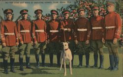 The Lead Out Boys at Biscayne Kennel Club, Miami, FL Postcard