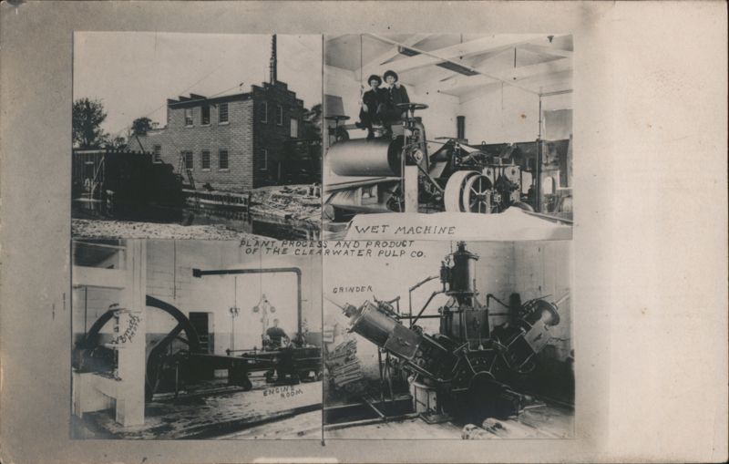 Clearwater Pulp Co. Plant Process and Product Minnesota