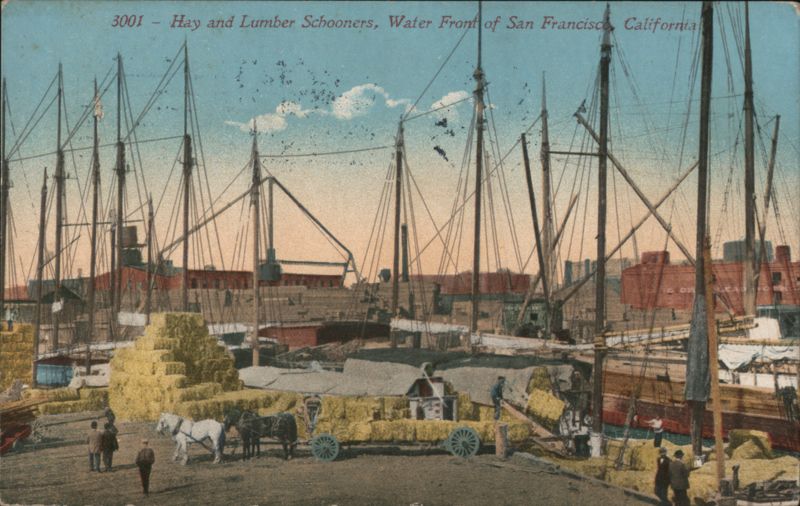 Hay and Lumber Schooners, San Francisco Waterfront California