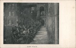 East Walk - Illinois Woman's College, Jacksonville Postcard