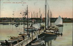 New Harbor, Oak Bluffs, MA - Sailboats at Dock Postcard