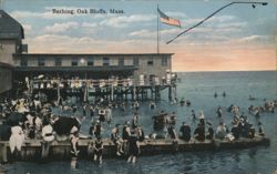 Bathing, Oak Bluffs, Mass. Postcard
