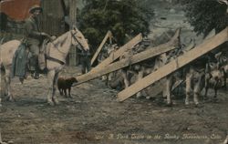 A Pack Train in the Rocky Mountains, CO Postcard