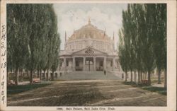 Salt Palace with Tree-Lined Path, Salt Lake City Postcard
