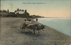 Children on Donkey Cart Along the Shore, Atlantic Highlands Postcard