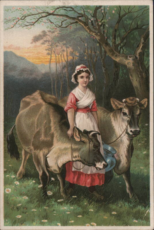 The Jerseys: Milkmaid with Cows & Dr. Jayne's Medicine Ad