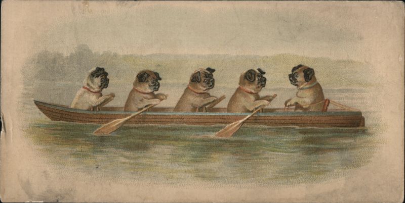 Five Pugs Rowing a Boat - Frederick F. Davison Sporting Goods Advertisement