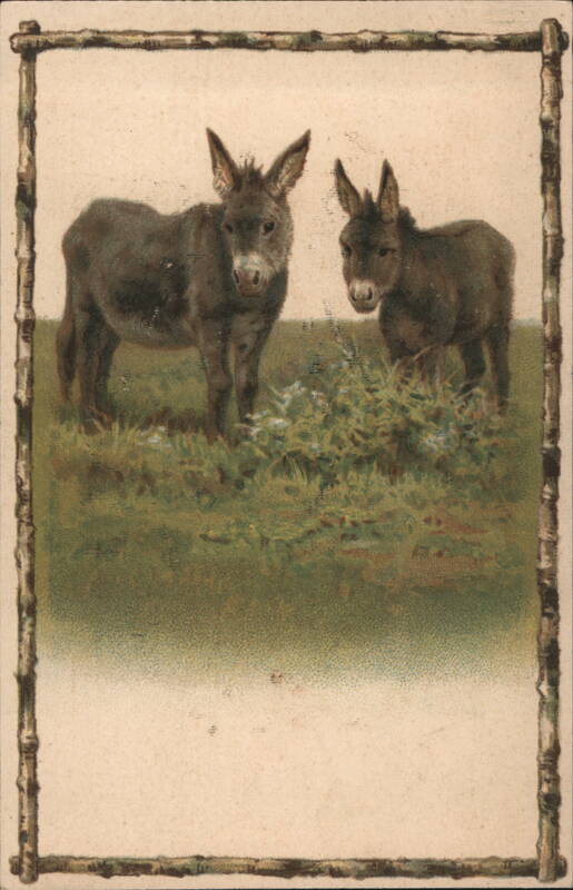 Two Donkeys in Grassy Field with Branch Border