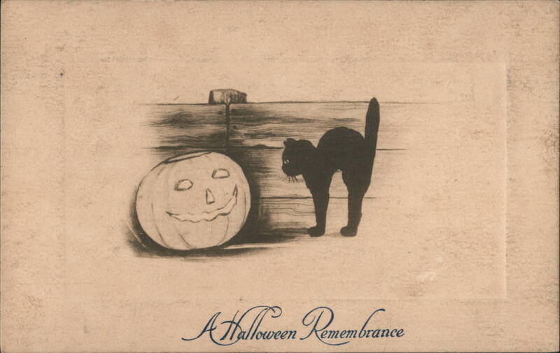 Black Cat Silhouette and Jack-o'-Lantern for Halloween Remembrance