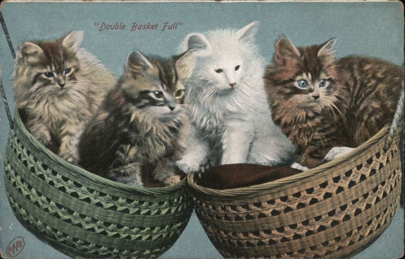 Four Fluffy Kittens in Double Baskets - Double Basket Full