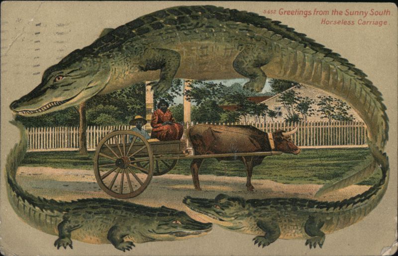 Alligator Border Greetings from the Sunny South, Ox-Drawn Horseless Carriage