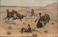 The Tenderfoot - Cowboy Thrown from Horse in Desert Postcard