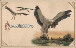 Storks Flying Over Village, Congratulations Card, 1913 Postcard