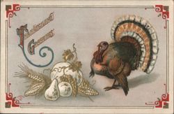Thanksgiving Greetings with Turkey, Gourds, and Wheat Postcard