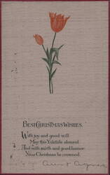 Best Christmas Wishes with Tulips Postcard