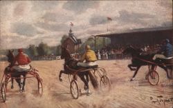 Harness Racing Postcard