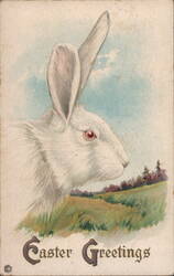 White Rabbit with Red Eyes, Easter Greetings Postcard