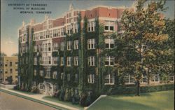 University of Tennessee School of Medicine Postcard