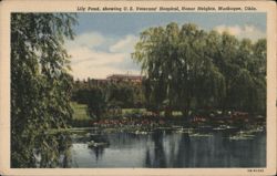 Lily Pond, U. S. Veterans' Hospital, Honor Heights Postcard