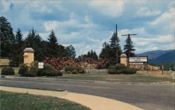 Oteen NC Veterans Hospital Entrance Roses Chrome Postcard Postcard