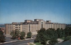 Hôpital Sainte-Justine, Montreal, Canada Postcard