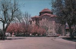 U.S. Veterans Administration Center, Spring Blossoms Postcard